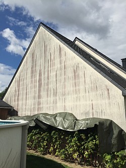 Nettoyage de façade Nantes ( avant )